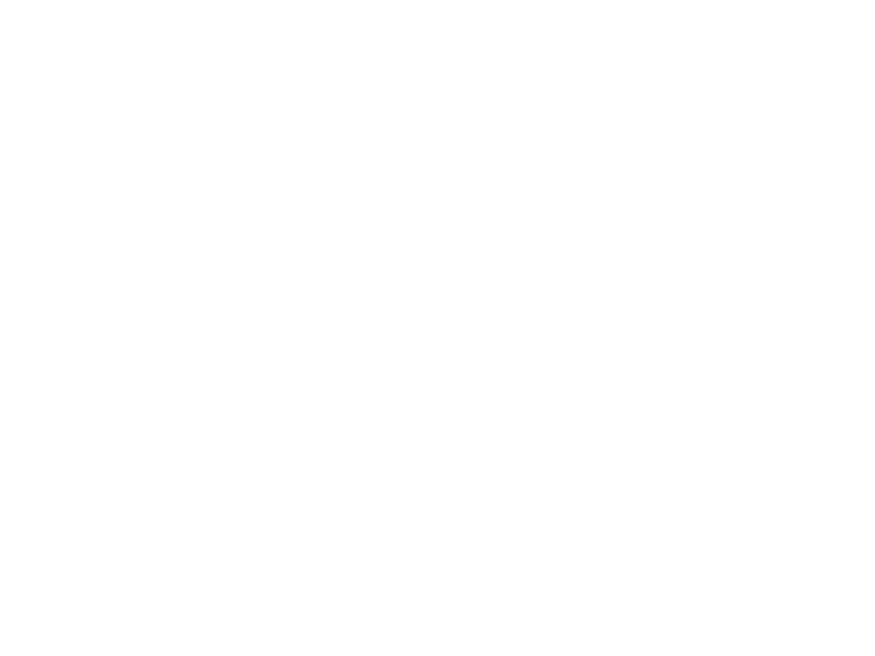 dataguess