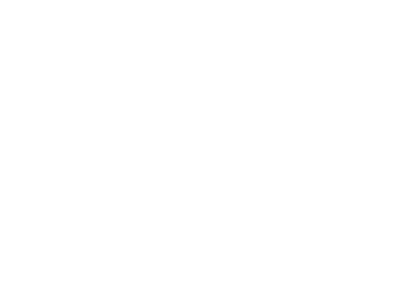 fronius
