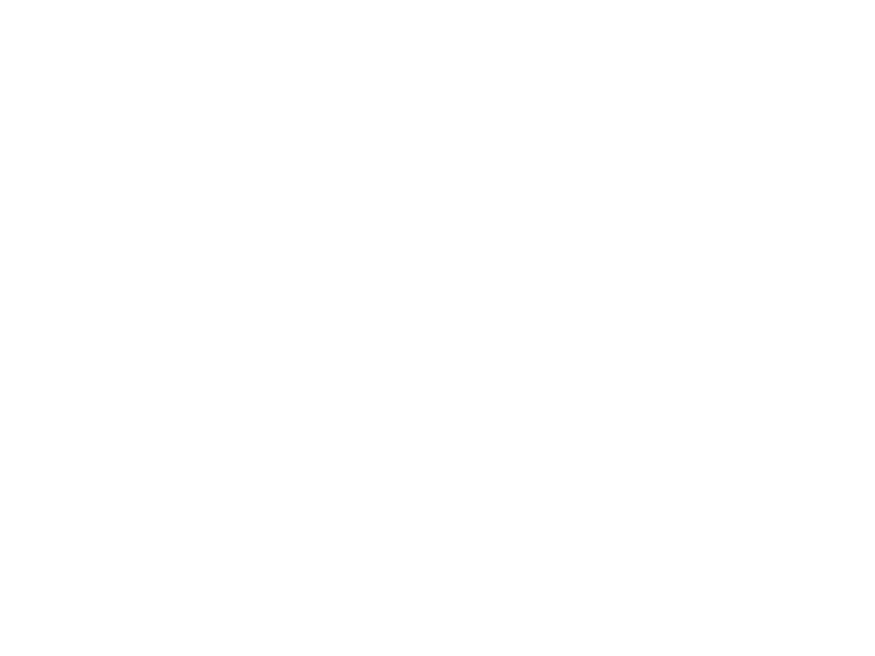 nitrosmart